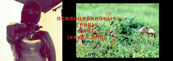 гидропоника Абдулино