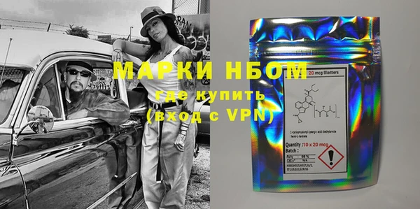 хмурый Алзамай