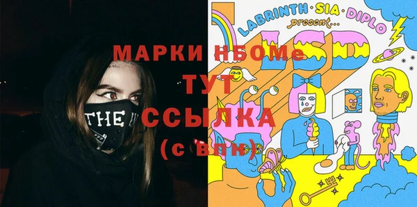 хмурый Алзамай