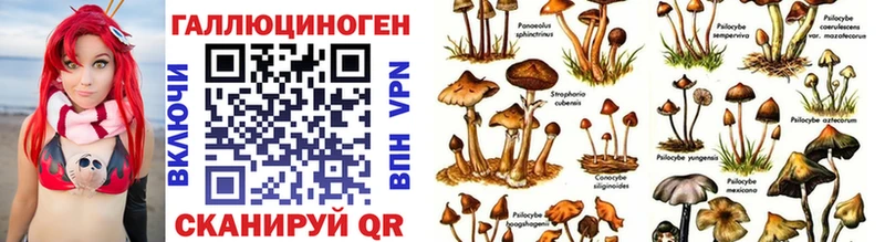 Галлюциногенные грибы MAGIC MUSHROOMS  Краснокамск 